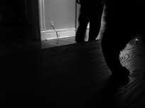 attic cat marc poljak photography pittsburgh